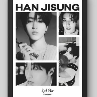 Cuadro Stray Kids Rock-Star Edition - Colección Individual